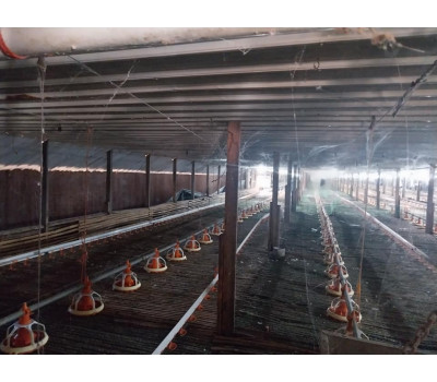 Poultry FOR SALE in Cagayan De Oro