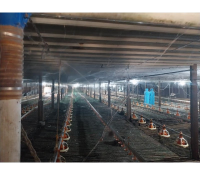 Poultry FOR SALE in Cagayan De Oro