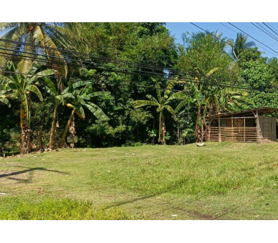 FOR SALE - Commercial / Residential Lot in Balingasag, Misamis Oriental