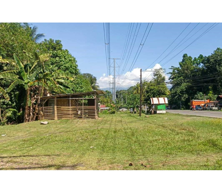 FOR SALE - Commercial / Residential Lot in Balingasag, Misamis Oriental