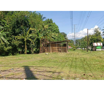 FOR SALE - Commercial / Residential Lot in Balingasag, Misamis Oriental