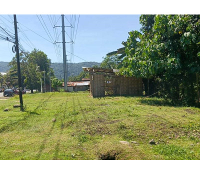 FOR SALE - Commercial / Residential Lot in Balingasag, Misamis Oriental