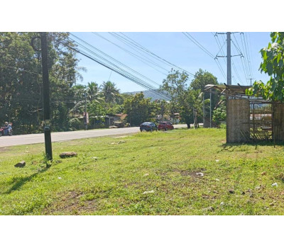 FOR SALE - Commercial / Residential Lot in Balingasag, Misamis Oriental