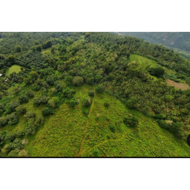 FOR SALE Natubo Farm...