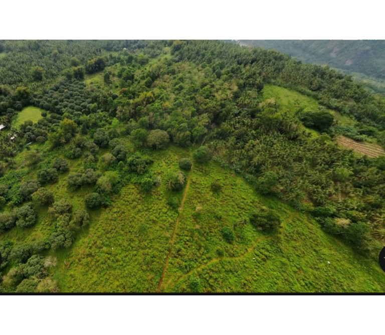 FOR SALE Natubo Farmland in Jasaan