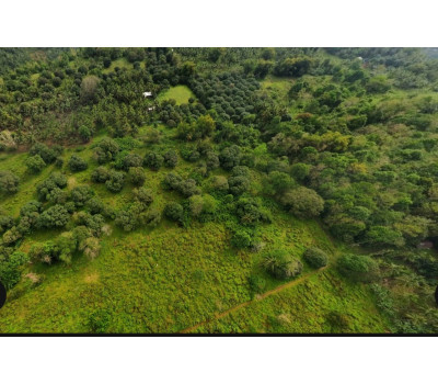 FOR SALE Natubo Farmland in Jasaan
