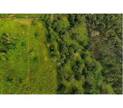 FOR SALE Natubo Farmland in Jasaan