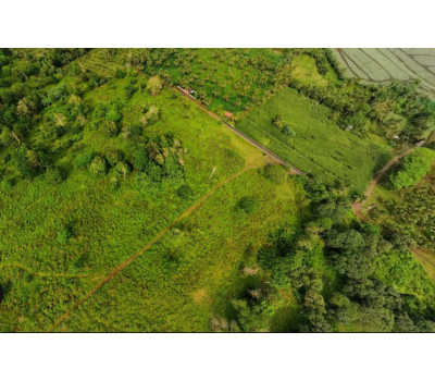 FOR SALE Natubo Farmland in Jasaan