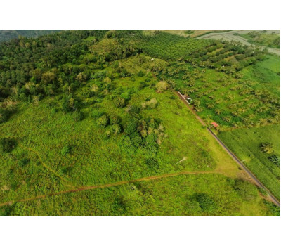FOR SALE Natubo Farmland in Jasaan