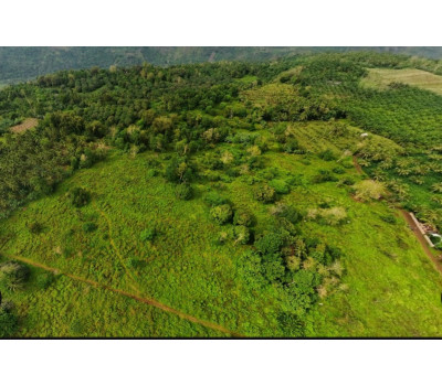 FOR SALE Natubo Farmland in Jasaan