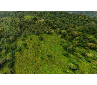 FOR SALE Natubo Farmland in Jasaan