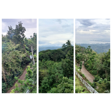 Residential - Farmla...